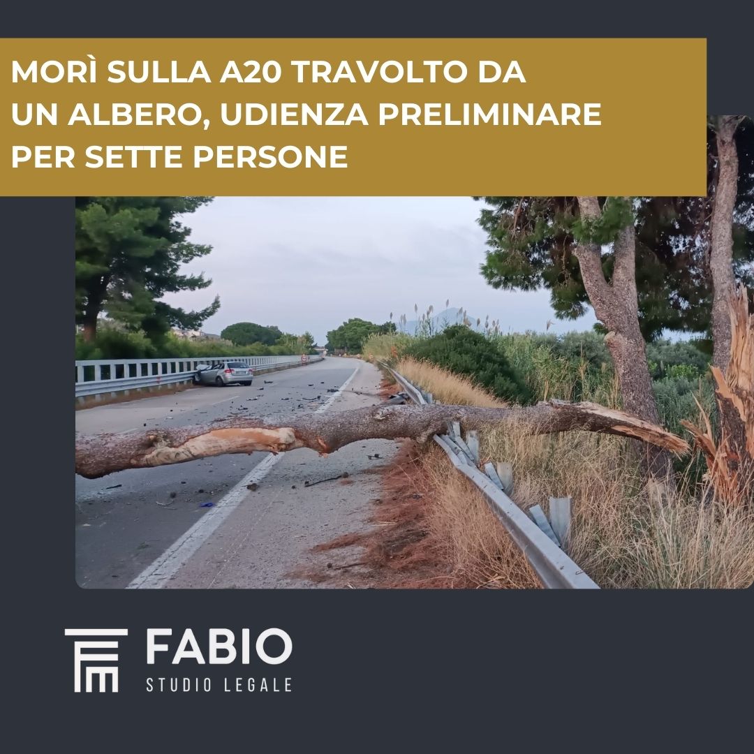 Morì sulla A20 travolto da un albero, udienza preliminare per sette persone
